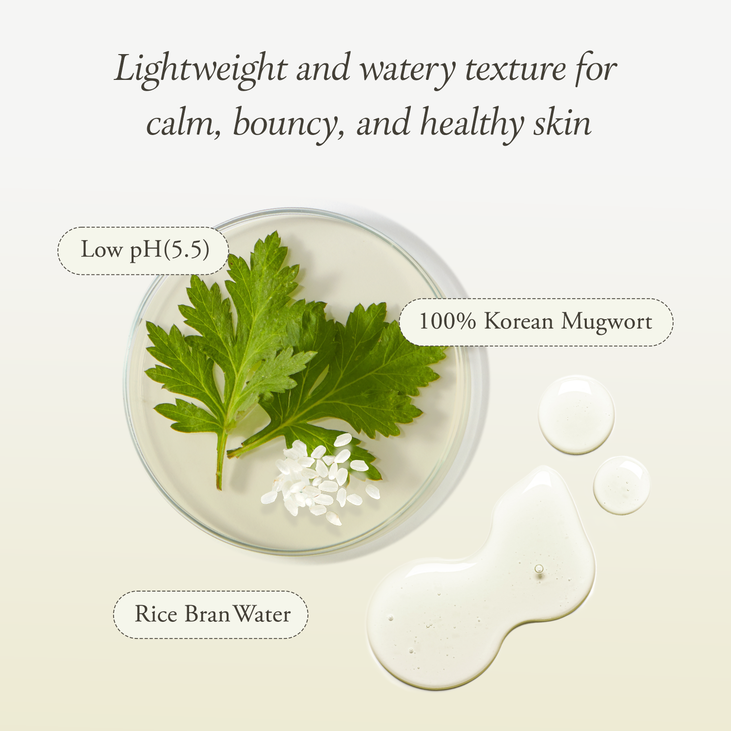 Real Artemisia Rice Essence Toner - APRILSKIN SG