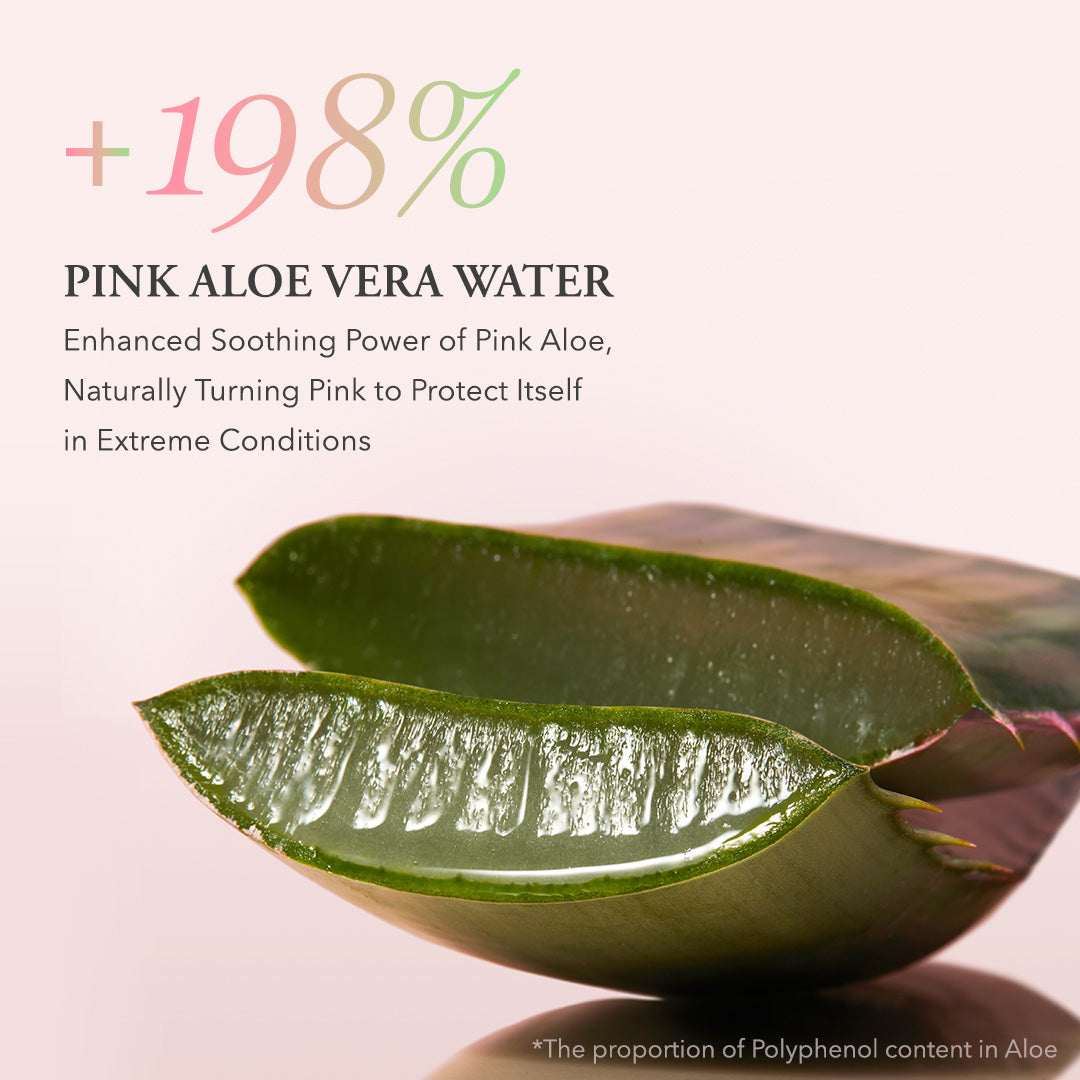 Pink Aloe 5 SEC Soothe & Hydrate Set