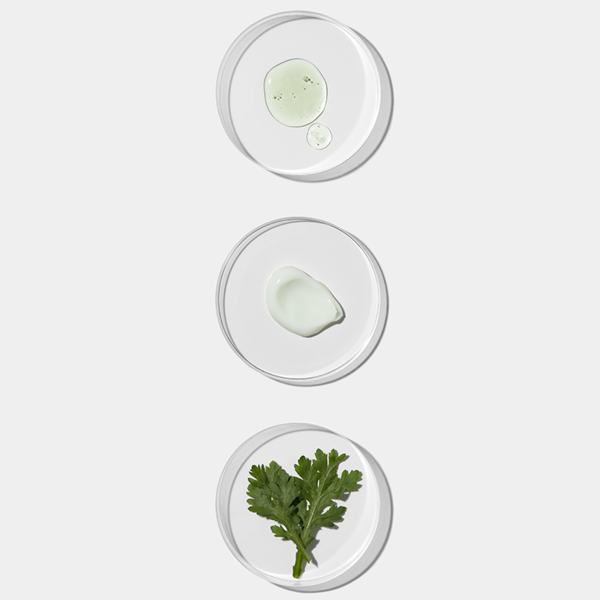 Real Artemisia Hydration Duo - APRILSKIN SG