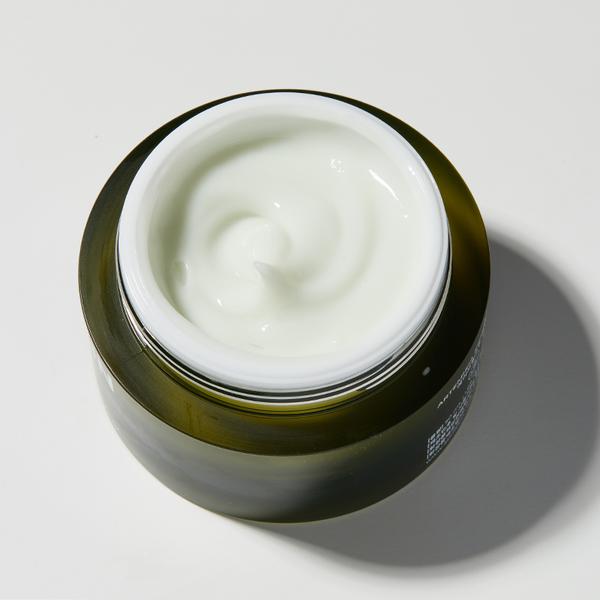 Real Artemisia Squalane Hydra Gel Cream - APRILSKIN SG